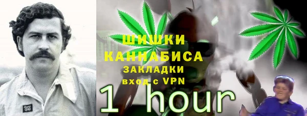 сатива Белокуриха