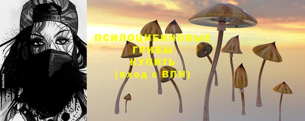 сатива Белокуриха