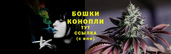 сатива Белокуриха