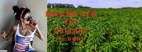 сатива Белокуриха