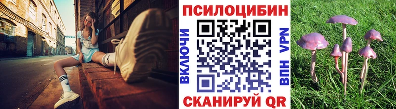 Галлюциногенные грибы Psilocybine cubensis  Купить где  Верея 